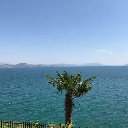 Vila Julia Βίλα Ξηροπήγαδο